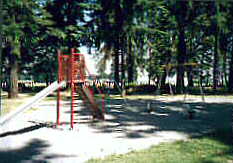 Picture Of The Park